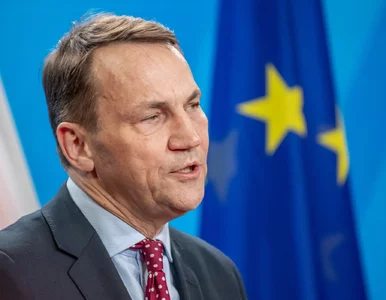Miniatura: Majątek nowego wiceszefa MSZ. Ma ogromne...