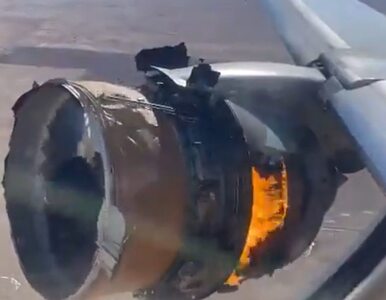 Miniatura: Silnik Boeinga zapalił się podczas lotu....