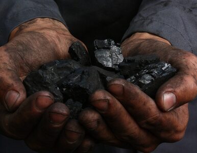 Miniatura: Rynek węgla jak rynek paliw? „Koszty...