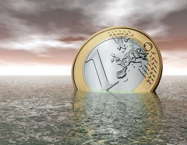 Miniatura: Banki w Europie Środkowo-Wschodniej nadal...