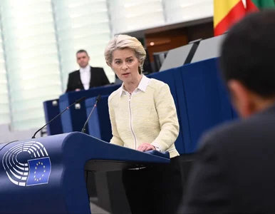Miniatura: Polska dostanie o 42 mln euro mniej. KE...