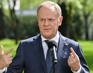 Miniatura: Rząd wesprze rolników? Tusk: Pomoc dla...