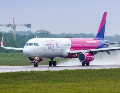 Miniatura: Wizz Air odwołuje loty do Włoch