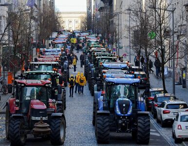 Miniatura: Wielki protest rolników w Brukseli. „Wasz...