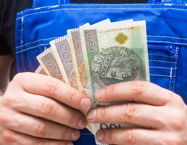 Miniatura: Bank odmówił? Lichwiarz nie pyta. Tak...