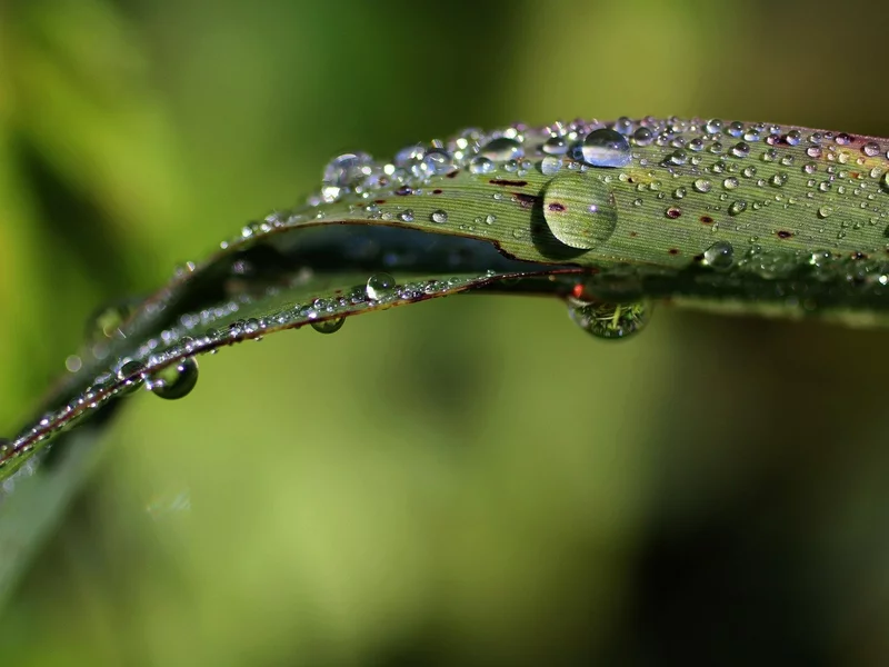 Tego z deszczówką raczej nie rób w 2026. 10 tys. zł gwałtownie zniknie