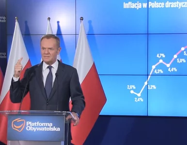 Miniatura: Tusk ostro o szefie NBP: Myli się...