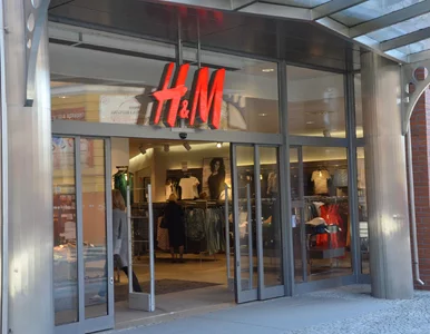 Miniatura: Prezes H&M ostrzega: Ruchy proekologiczne...