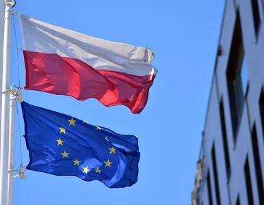 Miniatura: Eurobarometr: Europejczycy narzekają na...
