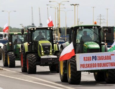 "Rząd PO zagładą polskiego rolnictwa". Rolnicy protestują