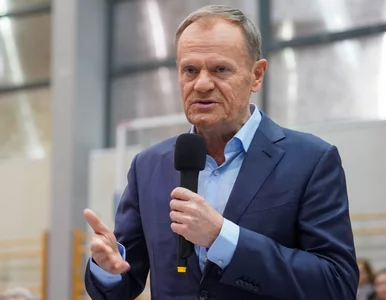 Miniatura: Tusk z programem gospodarczym na pierwsze...