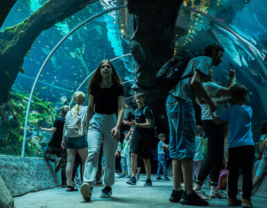 Łódzkie zoo zamyka popularną część Orientarium. Podano powód