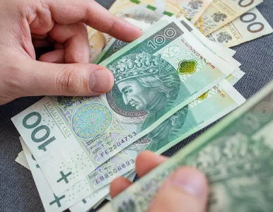 Miniatura: Połowa Polaków zarabia poniżej tej kwoty....