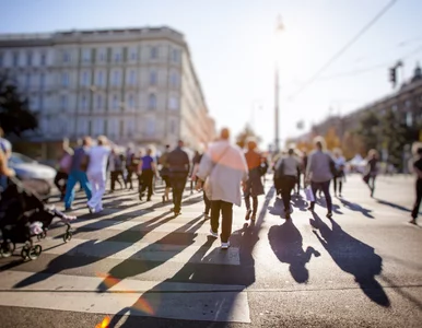 Miniatura: Polacy nie chcą się spisywać. Najpierw...