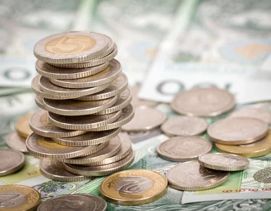 Miniatura: Polacy nie potrafią oszczędzać?