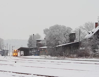 Miniatura: Groźny wypadek w kopalni bazaltu w Piławie...