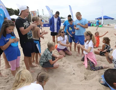 Miniatura: Akcja Platformy na plażach wyśmiana....