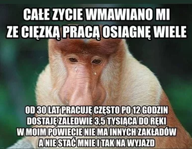 Miniatura: Tego nikt nie mógł przewidzieć. Smutne,...