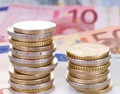 Miniatura: Polacy coraz bardziej przychylni euro?...