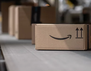 Miniatura: Polski biznes bez granic. Jak Amazon...
