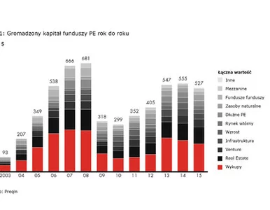 Miniatura: Rynek private equity - globalna...