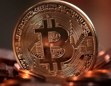 Miniatura: Bitcoin znów staje się popularny? Ekspert...