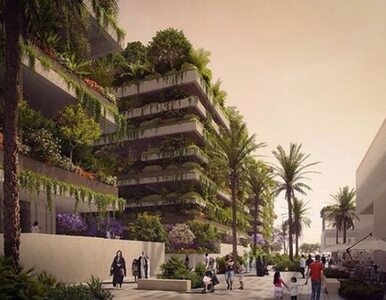 Egipt buduje nową stolicę. O zielone apartamentowce zadba gwiazda...