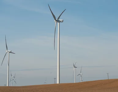 Miniatura: ESG - rachunek sumienia firm