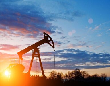 Cena ropy rośnie. Państwa OPEC ograniczają wydobycie