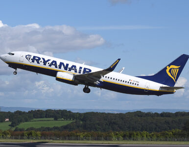 Miniatura: Strajk w Ryanair. Piloci stawiają ultimatum