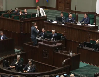 Miniatura: Sejm uchwalił budżet. Tak państwo podzieli...