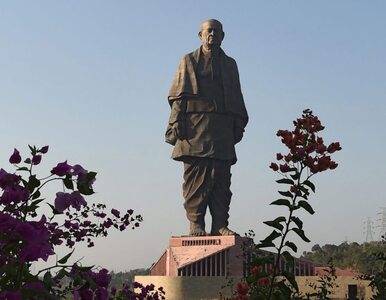 Miniatura: W Indiach odsłonięto najwyższy pomnik świata