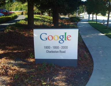 Miniatura: Google straszy świat