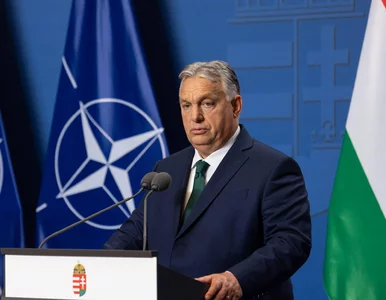Miniatura: Orban mocno ws. euro. Mówi o rozpadzie UE