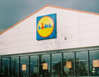 Miniatura: 2+1 gratis w Lidlu. Można korzystać tylko...