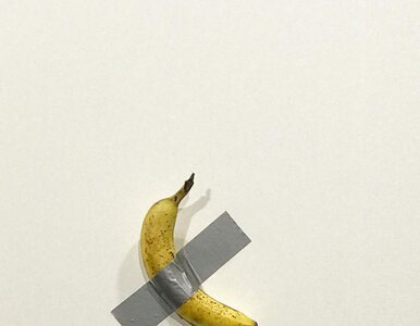 Miniatura: Banan przyklejony taśmą do ściany...