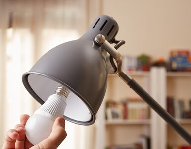 Miniatura: Czy żarówki LED są energooszczędne?