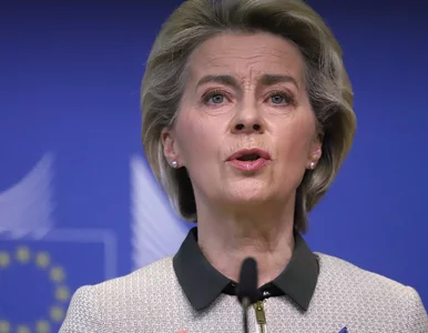 Miniatura: UE zamyka lukę prawną, która pozwoliła...