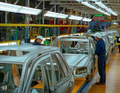Miniatura: Leasing finansuje firmowe zakupy. Rekord...