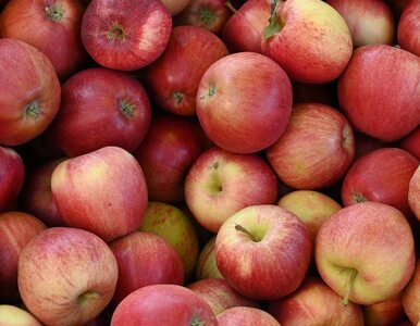 Rząd ogłosił pomoc dla rolników. Chodzi o jabłka