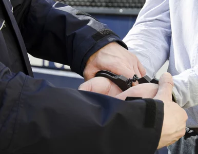 Miniatura: Rzecznik Praw Obywatelskich o aresztowanym...