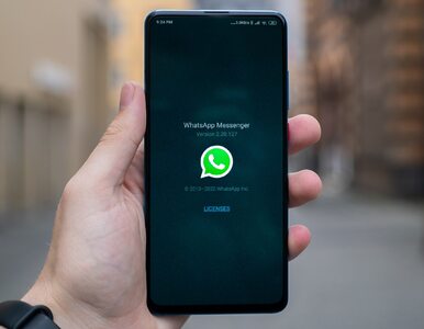 Miniatura: Nowa funkcja w WhatsApp. Tak appka ułatwia...