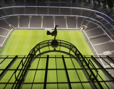 Miniatura: Kluby angielskiej Premier League zarobiły...