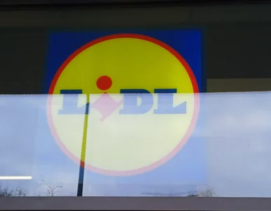 Miniatura: Lidl nie chce więcej marnować. Proponuje 8...