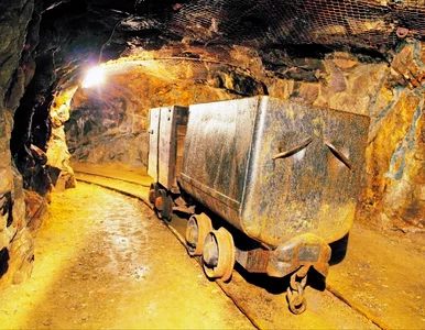 Miniatura: Złoty pociąg odnaleziony? Na Dolnym Śląsku...