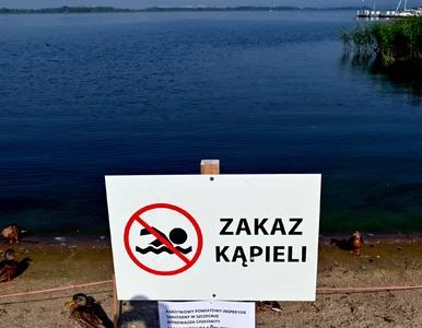 Miniatura: Skażenie Odry. Ważne ustalenia ws. firmy...