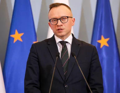 Miniatura: Wiceminister finansów: Nie pora na...