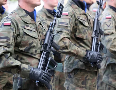 Miniatura: Europejski przemysł obronny rośnie w siłę....