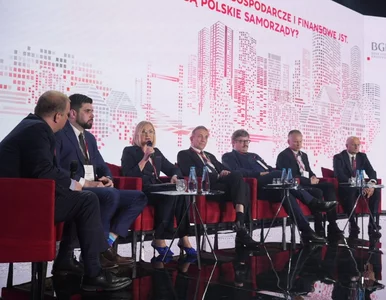 Miniatura: Rozwiązania finansowe dla samorządów