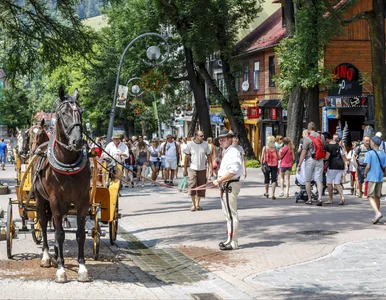 Miniatura: Zakopane odetchnęło z ulgą. Zapadła długo...